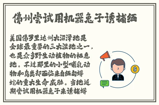 已满十八周岁带好卫生纸